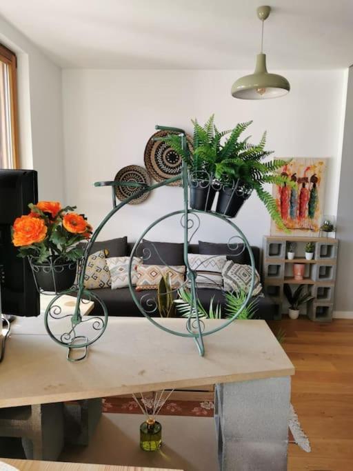 The Duplex Annecy Tgv; Vielle Ville ภายนอก รูปภาพ