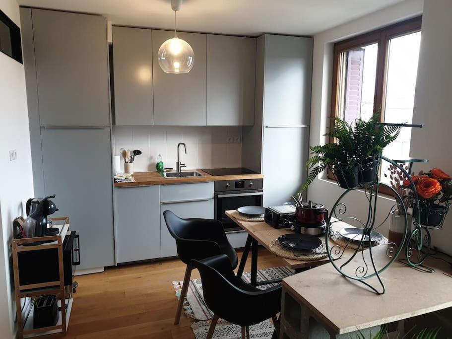The Duplex Annecy Tgv; Vielle Ville ภายนอก รูปภาพ